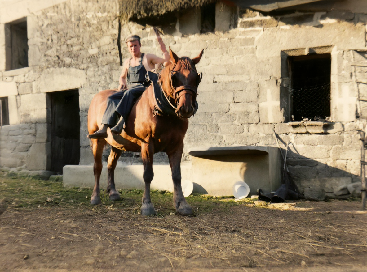 After huber sur rosette en été 1956_colorise.png